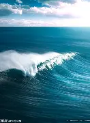 海登海姆受困状态不佳，寻找出路